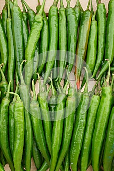 The Organic Vegetables in Agricultural greenhouse farm.