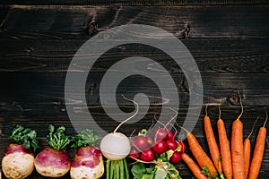 Organic vegetables background. Fresh harvested vegetables on the dark wooden background, top view, with copy space