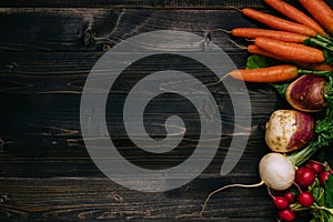 Organic vegetables background. Fresh harvested vegetables on the dark wooden background, top view, with copy space