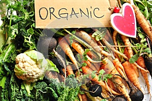 Organic vegetables black turnips, cauliflower, carrots, kale