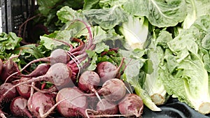 Organic vegetables on counter, fresh local produce homegrown on stall. Farmers food market in USA.