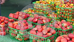 Organic vegetables on counter, fresh local produce homegrown on stall. Farmers food market in USA.