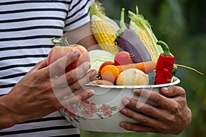 Organic vegetables. Farmers hands with freshly harvested vegetables. Tomato