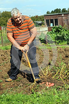 Verduras jardinería 