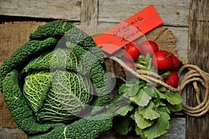 Organic vegetables : green cabbage and radish on a wooden board