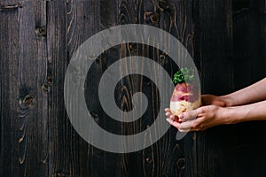 Organic vegetables. Hands holding fresh swede. Black wooden background with copy space