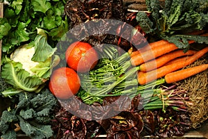 Organic vegetables with salad, cauliflower, carrots, kale, onions , parsley photo