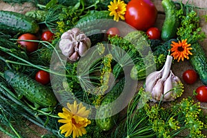 Organic vegetables.a set of beet cucumbers, dill, garlic and tomato