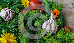 Organic vegetables.a set of beet cucumbers, dill, garlic and tomato