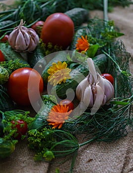 Organic vegetables.a set of beet cucumbers, dill, garlic and tomato