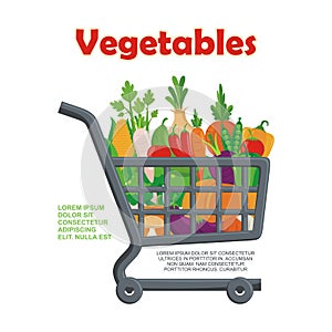 Organic Vegetables Vector, with new and lovely design