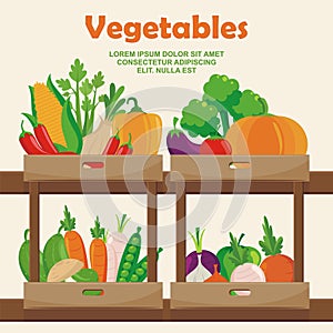 Organic Vegetables Vector, with new and lovely design