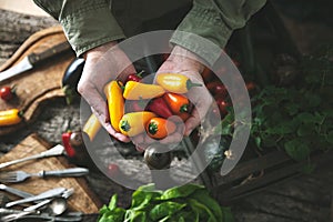 Organic vegetables on wood