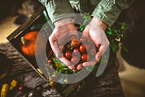 Organic vegetables on wood