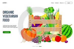 Organic vegetarian food, fresh natural green design vector illustration. Healthy vegetable design background, web page
