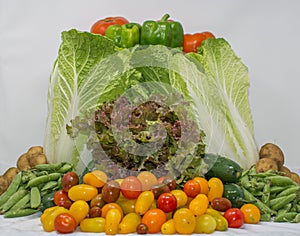 Organic Veggies Basket from Family Farmer
