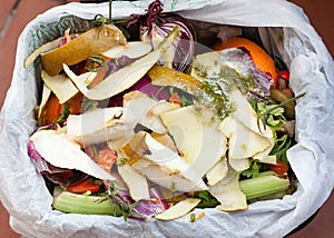 Organic waste for compost