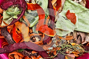 Organic waste for composting