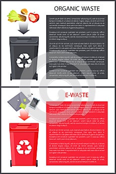 Organic Waste and E-Waste Set Vector Illustration