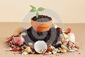 Organic waste, heap of bio compost with decomposed organic matter on top