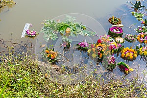 Organic waste in ping river from Loi Krathong festival