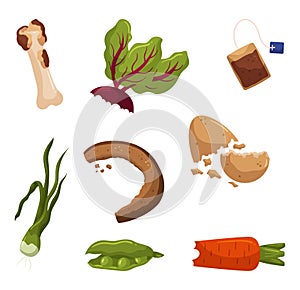 Organic Waste Set, Decomposable Materials, Bone, Beetroot Leaves, Teabag, Bread, Egg Shell, Vegetable Food Scraps photo