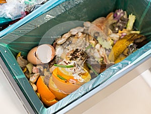 Organic waste sorting