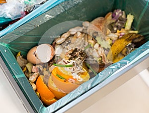 Organic waste sorting