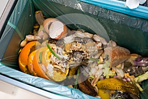 Organic waste sorting