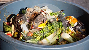 Organic waste