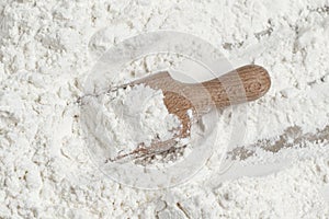 Organic white wheat flour.