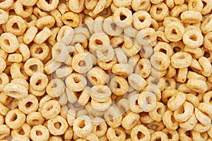 Organic Whole Wheat Cereal