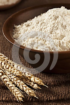 Organic Whole Wheat Flour