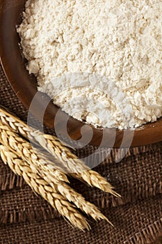 Organic Whole Wheat Flour
