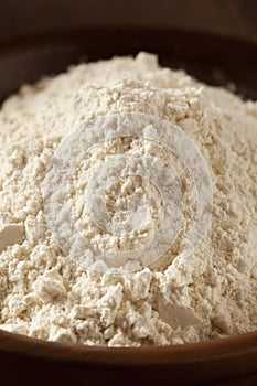 Organic Whole Wheat Flour