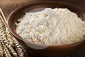 Organic Whole Wheat Flour