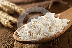 Organic Whole Wheat Flour