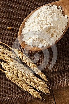 Organic Whole Wheat Flour