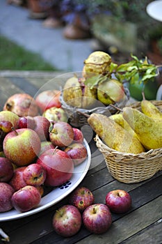 Organic winter fruit photo