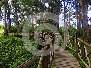 Wood Walkway at El ParaÃÂ­so Park in Cuenca, Ecuador photo