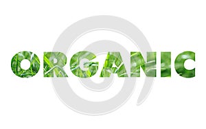 Organic word concept