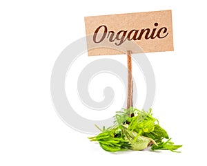 Organic word photo