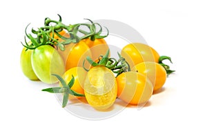 Organic yellow grape tomato