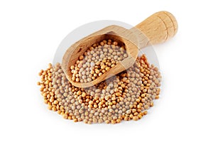 Organic yellow mustard seeds