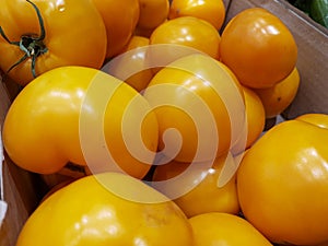 Organic yellow tomatoes in the store, natural, ecological yellow tomatoes