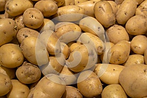 Organic young potatoes on market