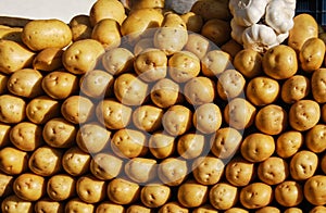 Organic young potatoes on market. Vegetables background.