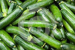 Organic Zucchini Squash