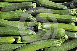 Organic Zucchini, Vegetables at Farmer`s Market