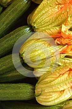 Organic Zuccini Zucchini
